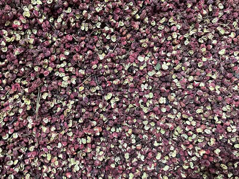 色选机|食品色选机|再生资源色选机|矿石色选机|履带色选机