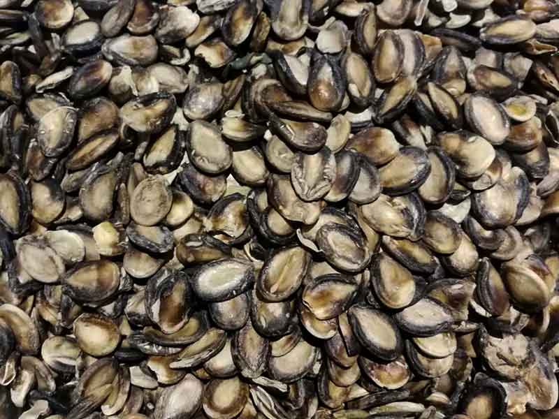 色选机|食品色选机|再生资源色选机|矿石色选机|履带色选机