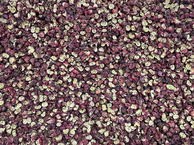 色选机|食品色选机|再生资源色选机|矿石色选机|履带色选机