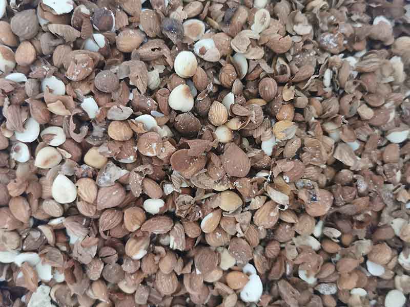 色选机|食品色选机|再生资源色选机|矿石色选机|履带色选机