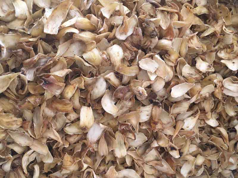 色选机|食品色选机|再生资源色选机|矿石色选机|履带色选机