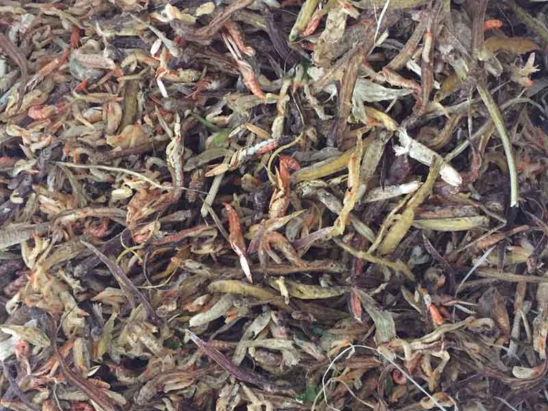 色选机|食品色选机|再生资源色选机|矿石色选机|履带色选机