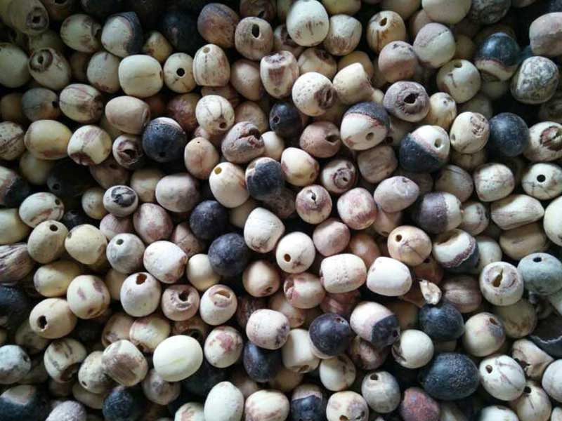 色选机|食品色选机|再生资源色选机|矿石色选机|履带色选机