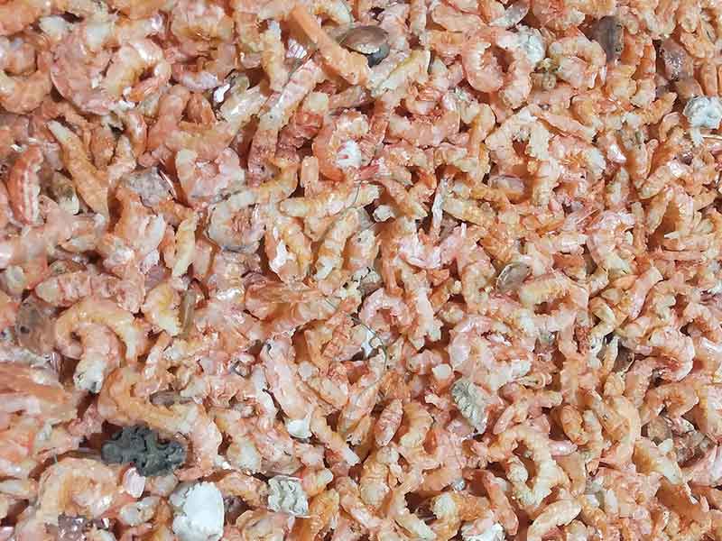 色选机|食品色选机|再生资源色选机|矿石色选机|履带色选机