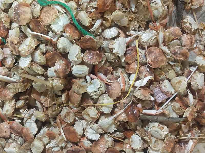 色选机|食品色选机|再生资源色选机|矿石色选机|履带色选机