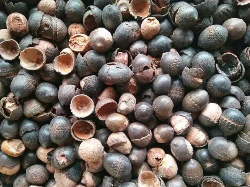 色选机|食品色选机|再生资源色选机|矿石色选机|履带色选机