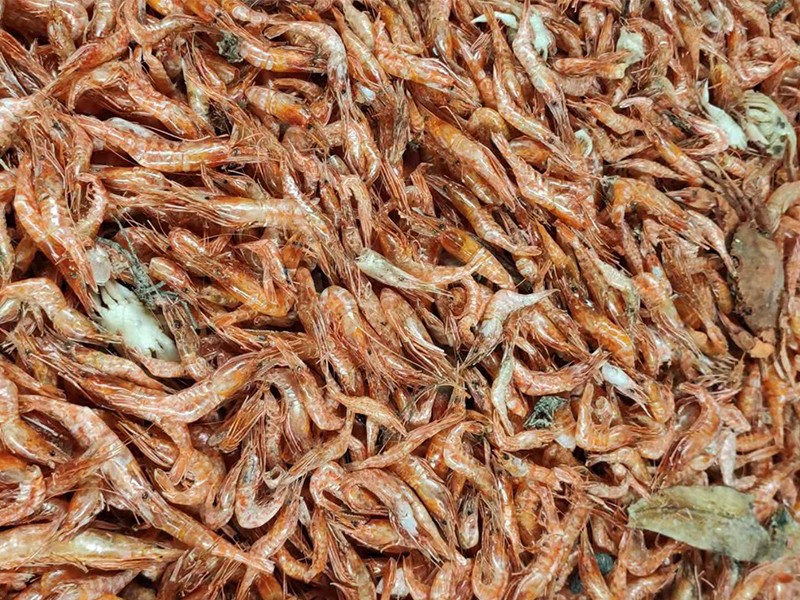 色选机|食品色选机|再生资源色选机|矿石色选机|履带色选机