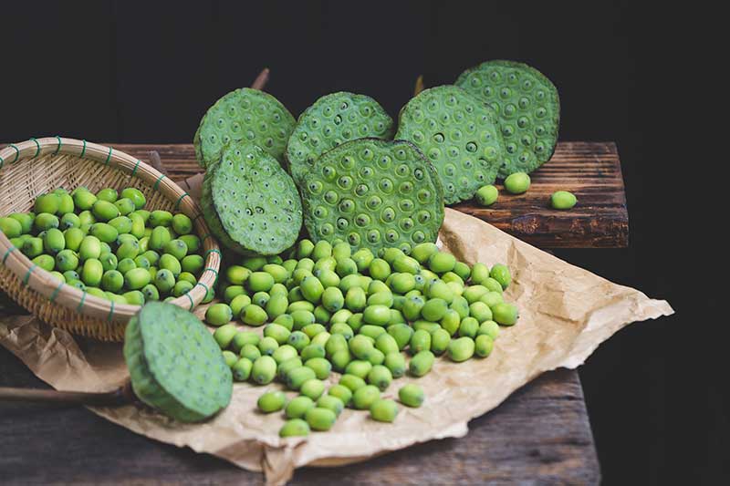 色选机|食品色选机|再生资源色选机|矿石色选机|履带色选机