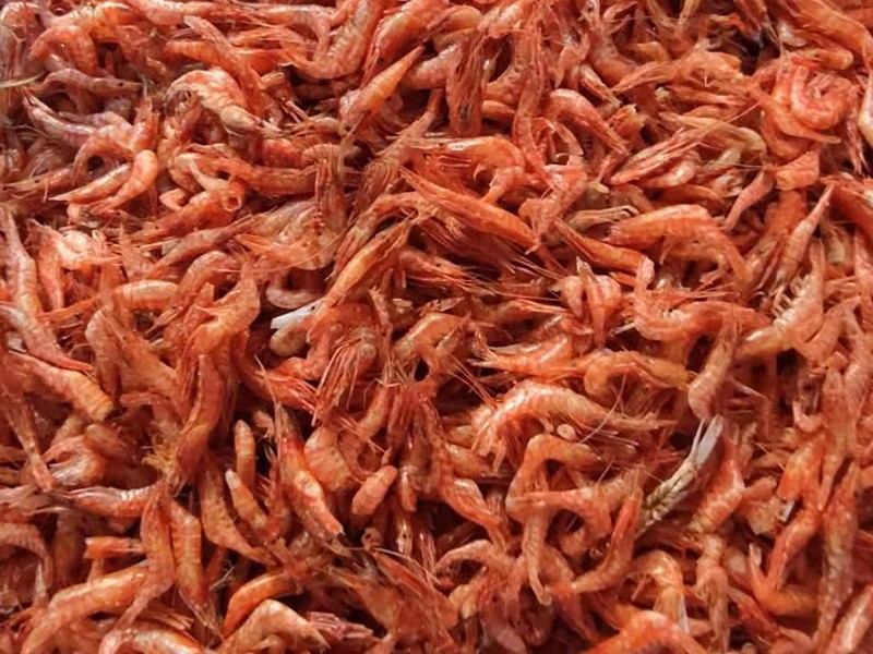 色选机|食品色选机|再生资源色选机|矿石色选机|履带色选机