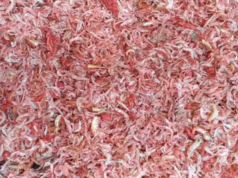 色选机|食品色选机|再生资源色选机|矿石色选机|履带色选机