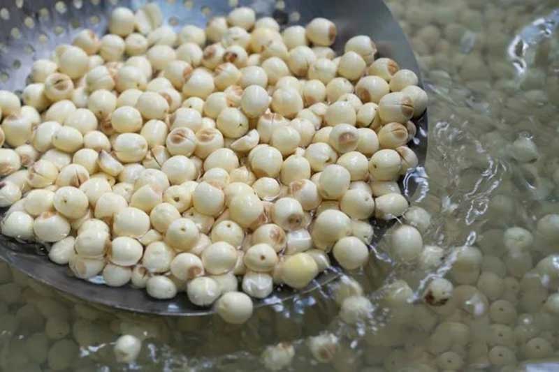 色选机|食品色选机|再生资源色选机|矿石色选机|履带色选机