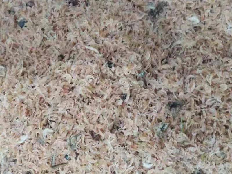 色选机|食品色选机|再生资源色选机|矿石色选机|履带色选机