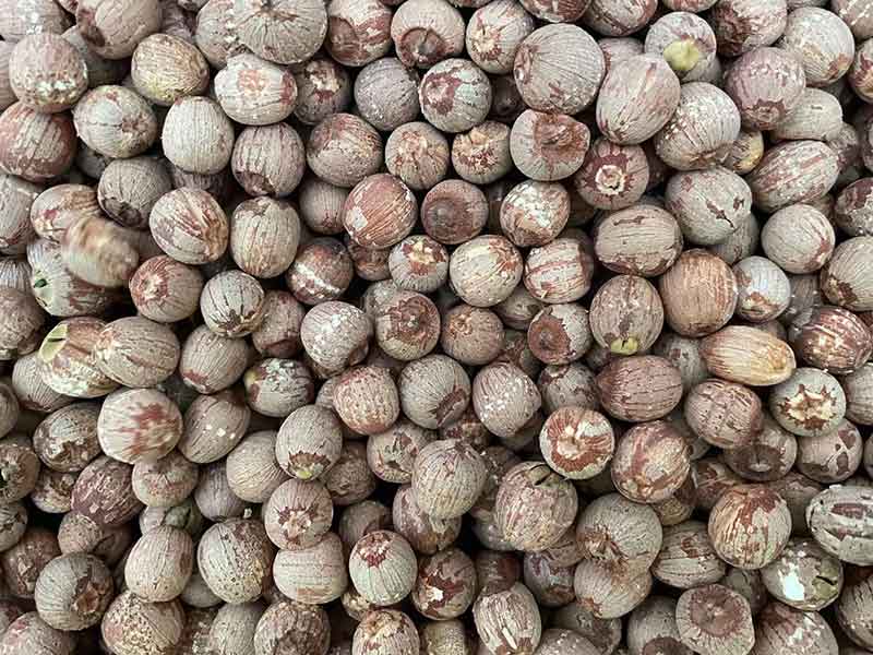 色选机|食品色选机|再生资源色选机|矿石色选机|履带色选机