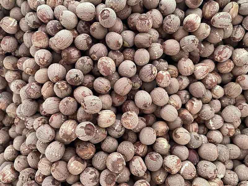 色选机|食品色选机|再生资源色选机|矿石色选机|履带色选机