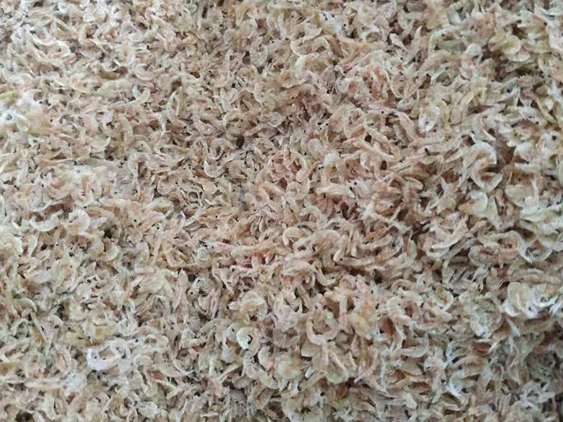 色选机|食品色选机|再生资源色选机|矿石色选机|履带色选机