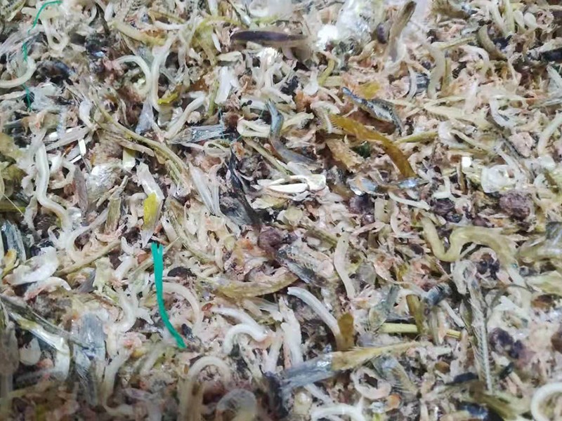 色选机|食品色选机|再生资源色选机|矿石色选机|履带色选机