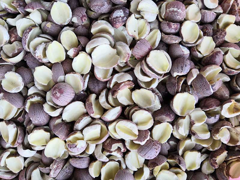 色选机|食品色选机|再生资源色选机|矿石色选机|履带色选机