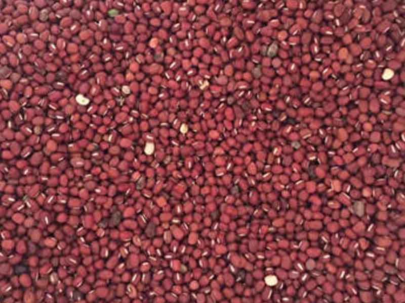 色选机|食品色选机|再生资源色选机|矿石色选机|履带色选机