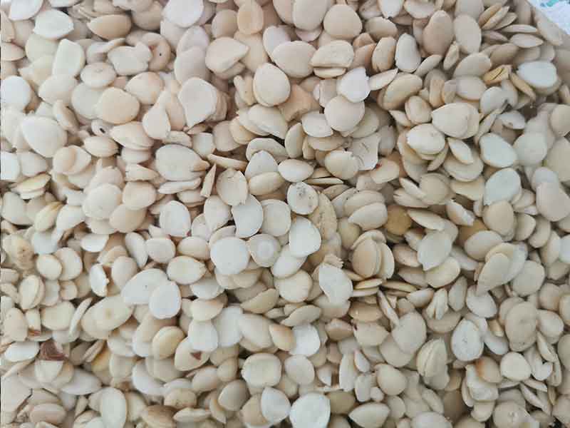 色选机|食品色选机|再生资源色选机|矿石色选机|履带色选机