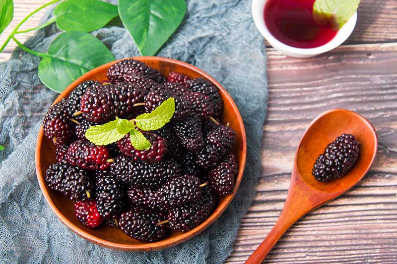 色选机|食品色选机|再生资源色选机|矿石色选机|履带色选机