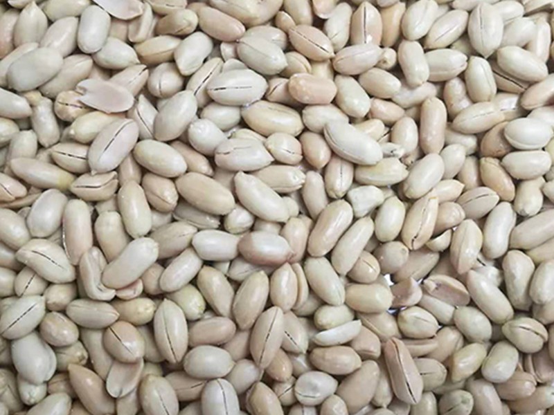 色选机|食品色选机|再生资源色选机|矿石色选机|履带色选机