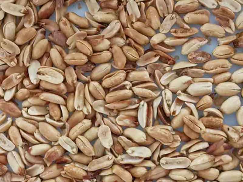 色选机|食品色选机|再生资源色选机|矿石色选机|履带色选机