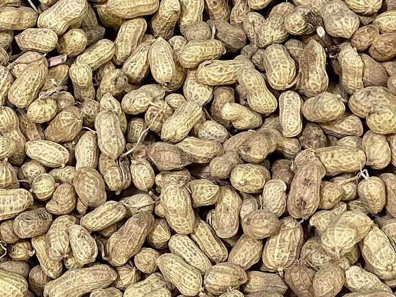 色选机|食品色选机|再生资源色选机|矿石色选机|履带色选机