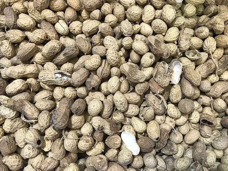 色选机|食品色选机|再生资源色选机|矿石色选机|履带色选机