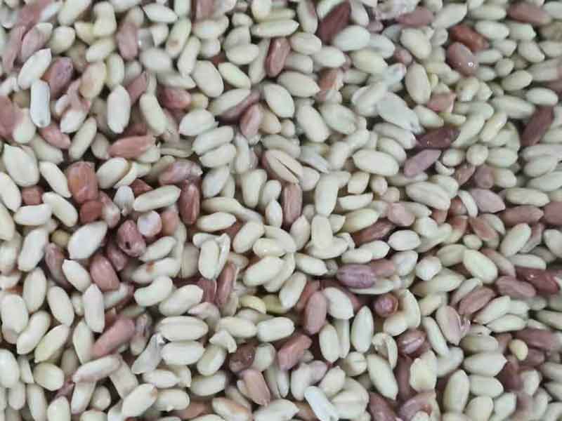 色选机|食品色选机|再生资源色选机|矿石色选机|履带色选机