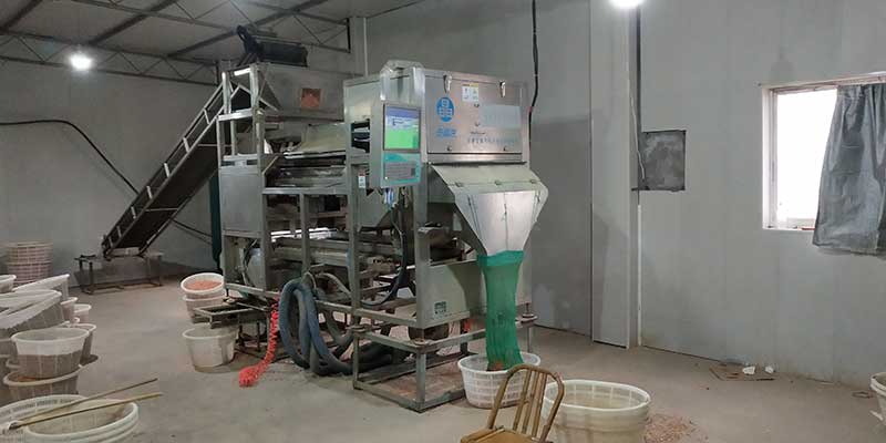 色选机|食品色选机|再生资源色选机|矿石色选机|履带色选机