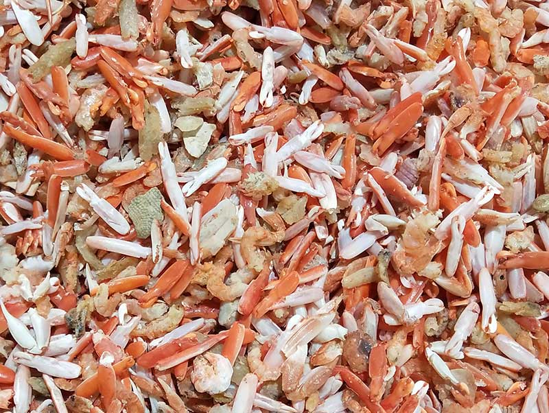 色选机|食品色选机|再生资源色选机|矿石色选机|履带色选机