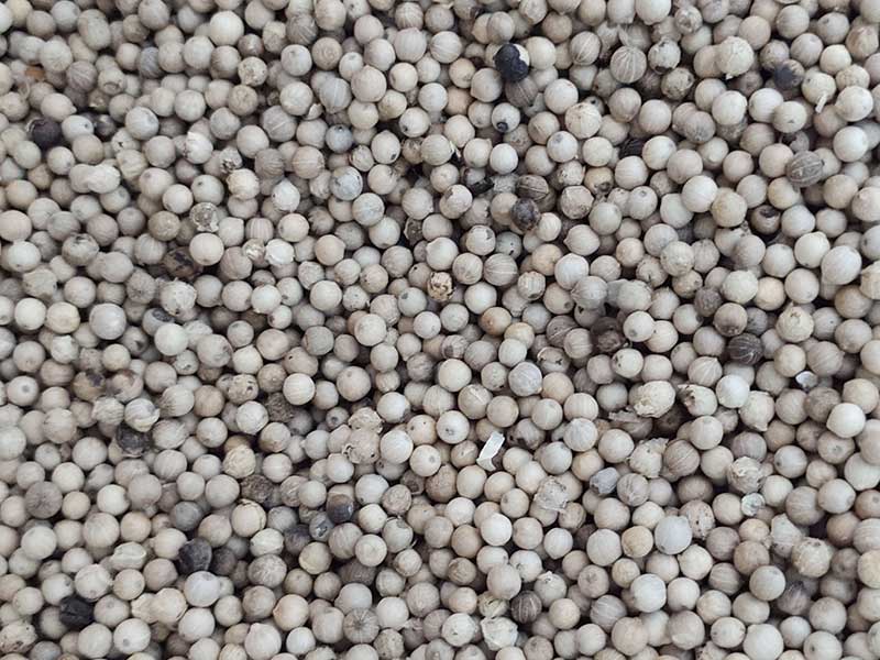 色选机|食品色选机|再生资源色选机|矿石色选机|履带色选机