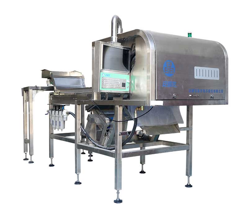 色选机|食品色选机|再生资源色选机|矿石色选机|履带色选机