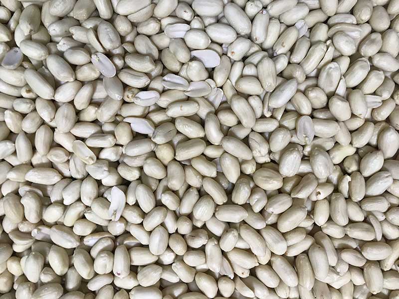 色选机|食品色选机|再生资源色选机|矿石色选机|履带色选机