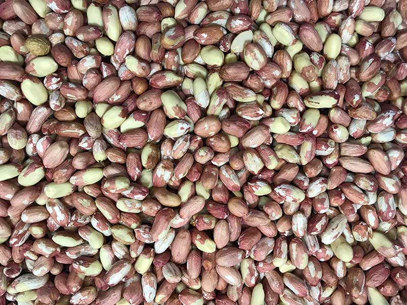 色选机|食品色选机|再生资源色选机|矿石色选机|履带色选机