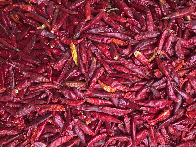 山东金乡-辣椒-李-3028处，原料.jpg