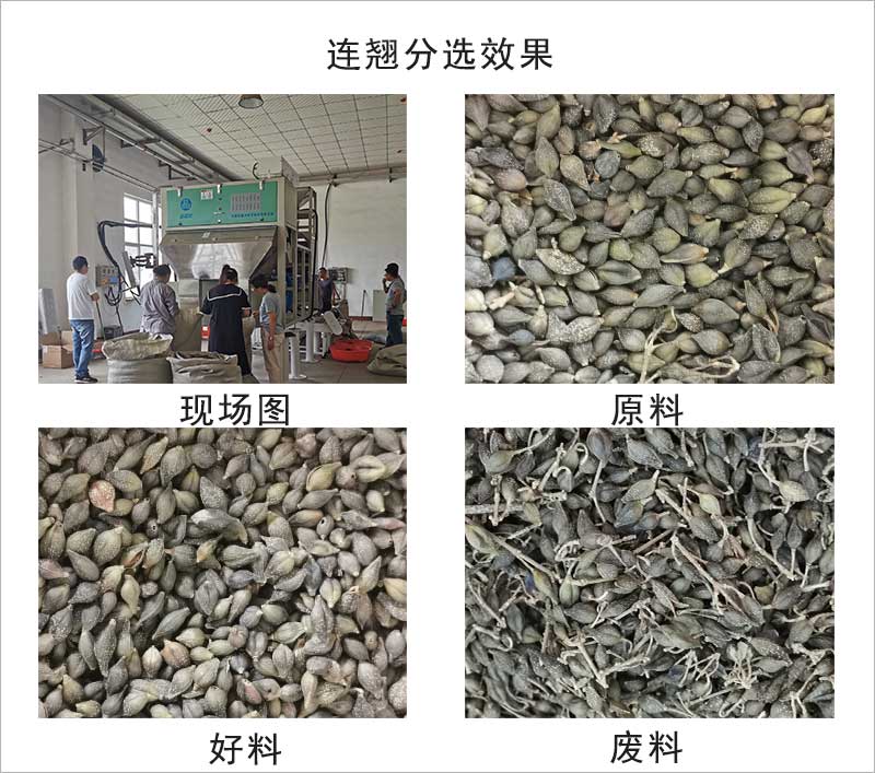 色选机|食品色选机|再生资源色选机|矿石色选机|履带色选机