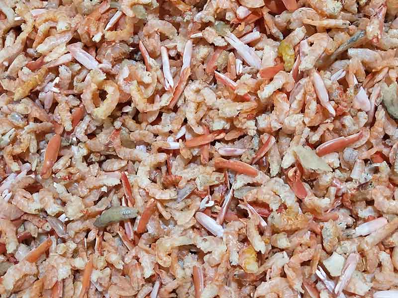 色选机|食品色选机|再生资源色选机|矿石色选机|履带色选机