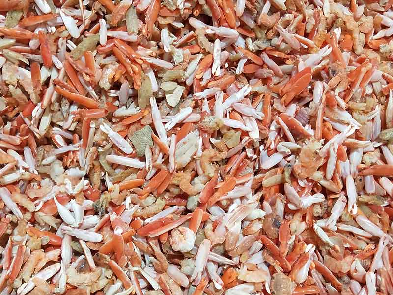 色选机|食品色选机|再生资源色选机|矿石色选机|履带色选机