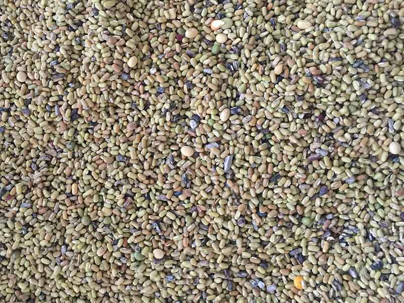 色选机|食品色选机|再生资源色选机|矿石色选机|履带色选机