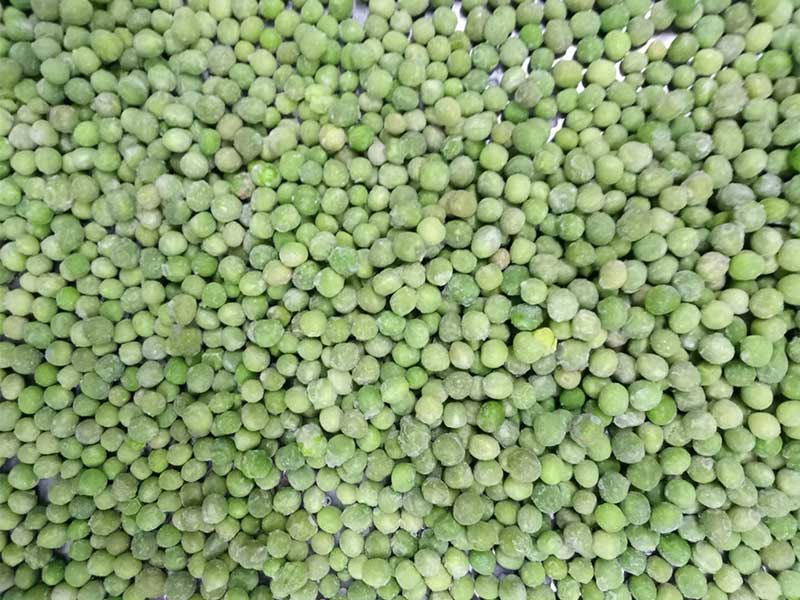 色选机|食品色选机|再生资源色选机|矿石色选机|履带色选机