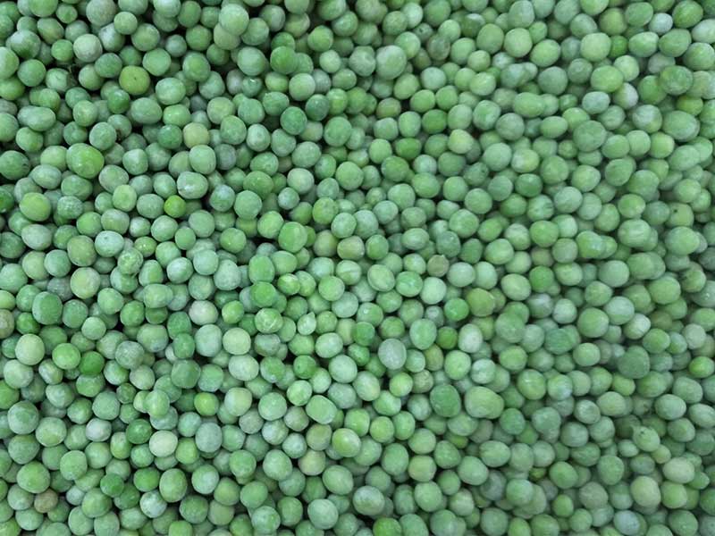 色选机|食品色选机|再生资源色选机|矿石色选机|履带色选机