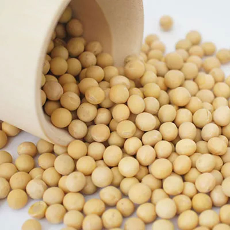 色选机|食品色选机|再生资源色选机|矿石色选机|履带色选机