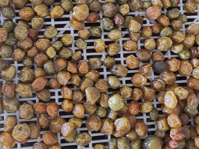 色选机|食品色选机|再生资源色选机|矿石色选机|履带色选机