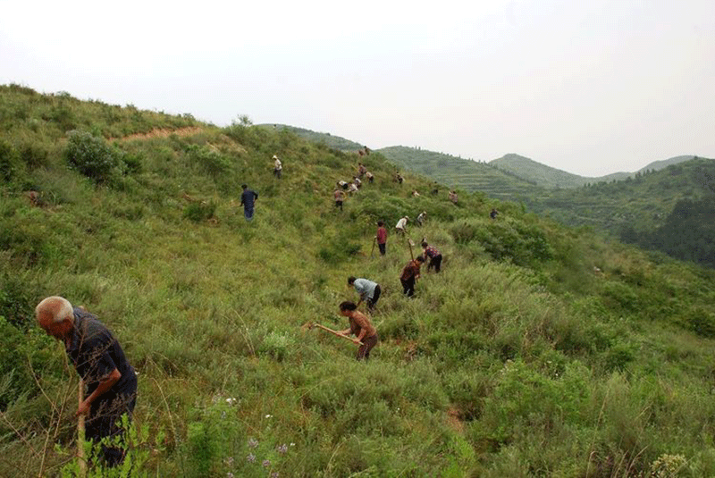 色选机|食品色选机|再生资源色选机|矿石色选机|履带色选机