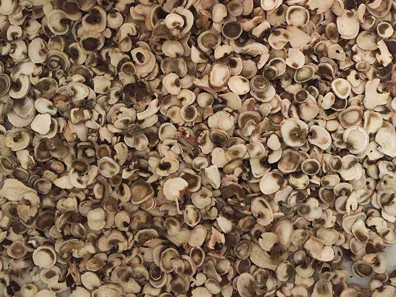 色选机|食品色选机|再生资源色选机|矿石色选机|履带色选机