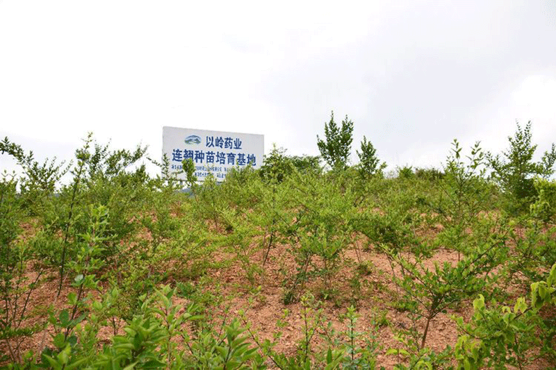 色选机|食品色选机|再生资源色选机|矿石色选机|履带色选机