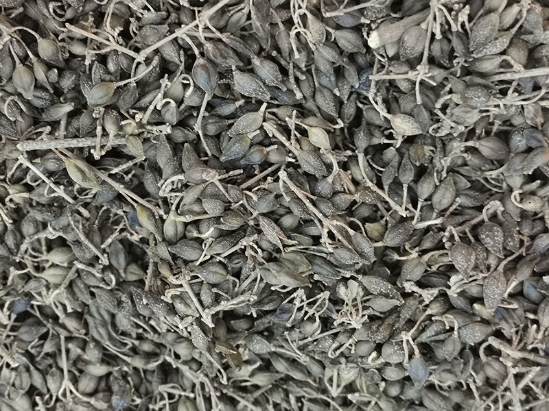 色选机|食品色选机|再生资源色选机|矿石色选机|履带色选机