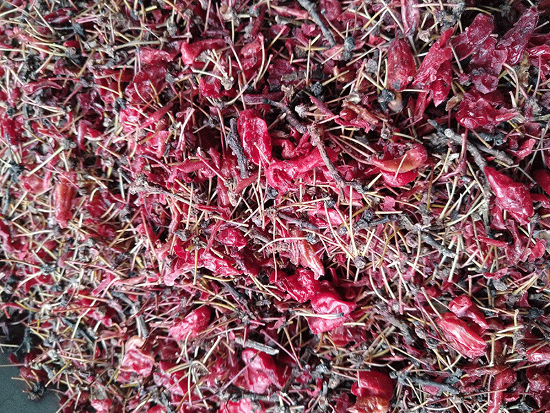 色选机|食品色选机|再生资源色选机|矿石色选机|履带色选机