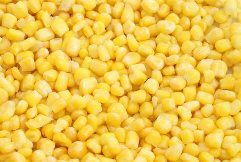 色选机|食品色选机|再生资源色选机|矿石色选机|履带色选机